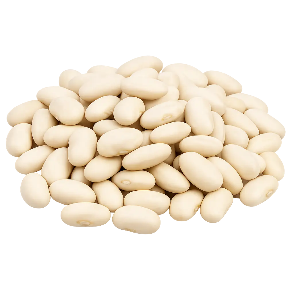 فاصوليا بيضاء (لوبيا)