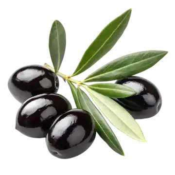 زيتون أسود