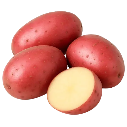 بطاطا حمراء